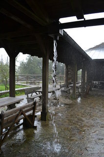 FOTKA - Pes Prilsk jezero k Poledku