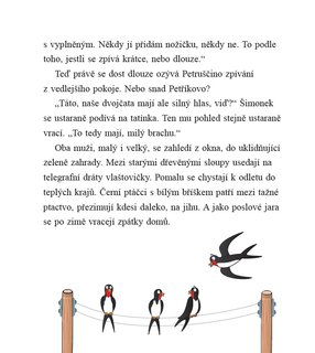 FOTKA - Pohdkov hrtky se zvtky