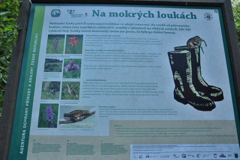 FOTKA - Jesenky - Rejvz