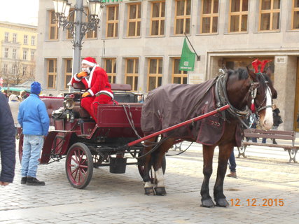 FOTKA - Adventn Wroclaw