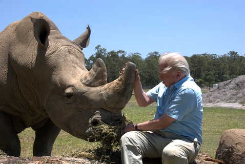 FOTKA - David Attenborough a jeho legendrn dokumenty na Prima ZOOM