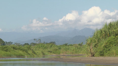 FOTKA - Na cest po kostarickm Puerto Vieju