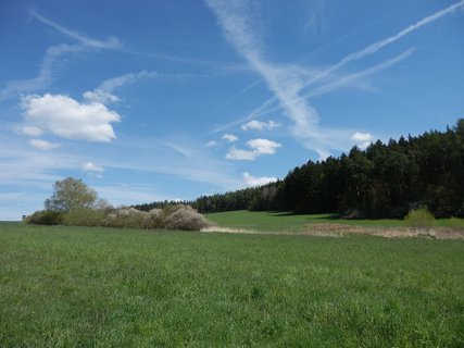 FOTKA - NS Kokotsk rybnky