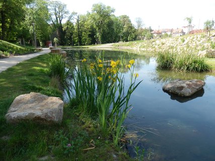 FOTKA - Prask zele - park Maxe van der Stoela