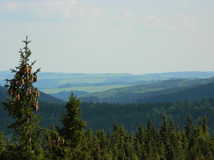 FOTKA - Rolandv kmen (Kiek)