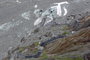 S rodinou na cestch -  2. st : Chamonix a ledovec