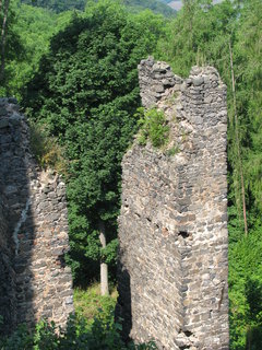 FOTKA - Zcenina hradu Lestkov-Egerberg a Pertejn