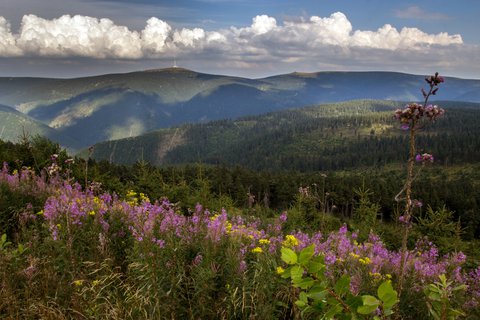 FOTKA - Klenoty na krajiny - Jesenky