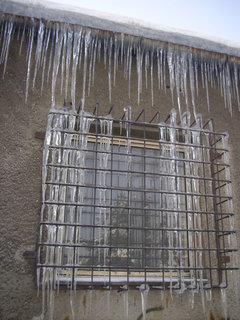 FOTKA - Mraziv cesta za pteli