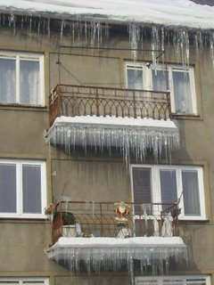 FOTKA - Mraziv cesta za pteli