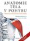 Anatomie tla v pohybu