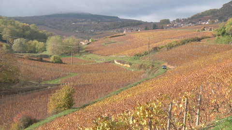 FOTKA - Na cest po vchod Burgundska