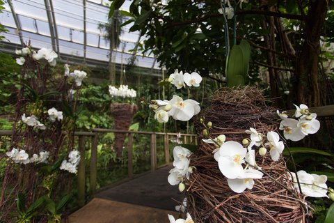 FOTKA - Botanick zahrada zve na veern provzen a originln valentnsk rande
