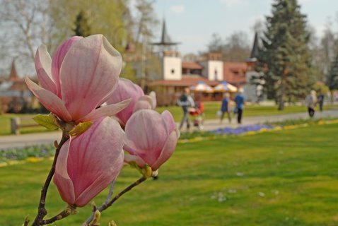 FOTKA - Rdi byste vyjeli nkam ven na Velikonoce nebo prodlouen kvtnov vkendy?