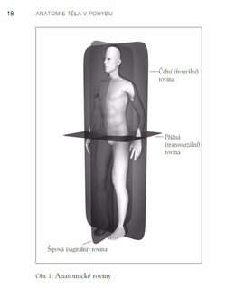 FOTKA - Anatomie tla v pohybu