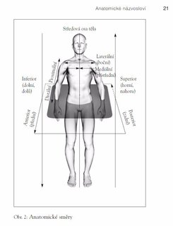 FOTKA - Anatomie tla v pohybu