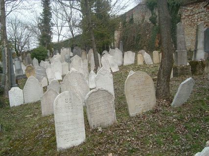 FOTKA - Mikulov jarn