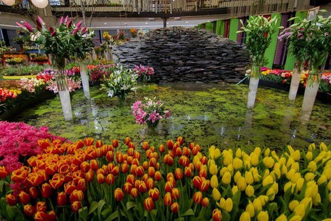 FOTKA - Jarn Flora Olomouc pedstav Tajemnou tv svta