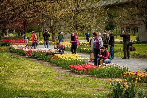 FOTKA - Jarn Flora Olomouc pedstav Tajemnou tv svta