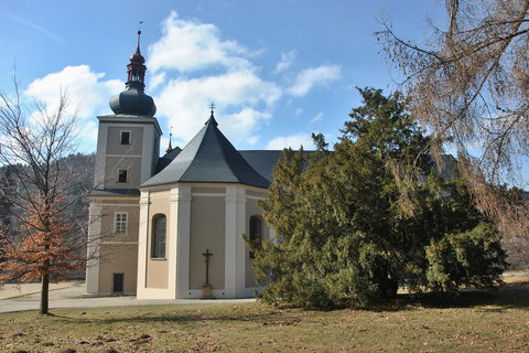 FOTKA - Loun nad Desnou  n mal objev