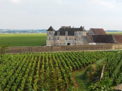 FOTKA - Burgundsk vinice mezi msty Dijon a Beaune