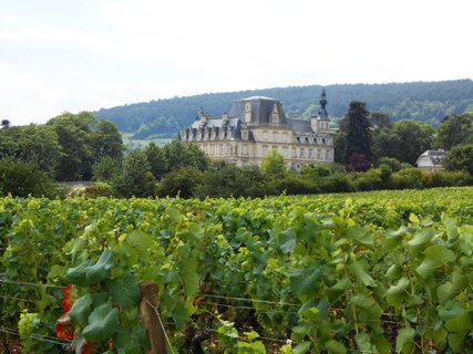 FOTKA - Burgundsk vinice mezi msty Dijon a Beaune
