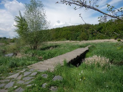 FOTKA - Prask zele - z Dolnch Poernic do Hostavic