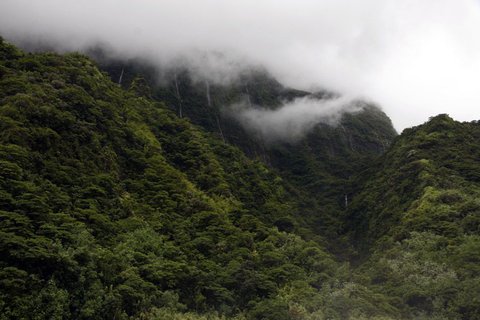 FOTKA - Na cest po Tahiti
