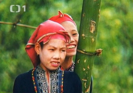 FOTKA - Cestomnie: Vietnam - Barvy trop