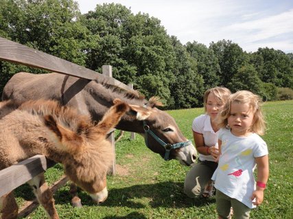 FOTKA - Na Farm Blank zan podzimn sezna