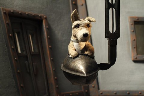 FOTKA - Lajka - slavn pbh ps kosmonautky v kinech od 2. listopadu