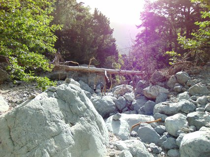 FOTKA - Samaria - krtsk nrodn park