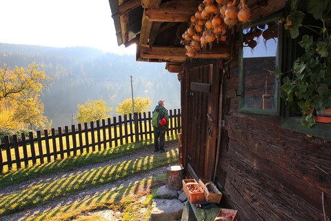 FOTKA - Sedm tip, jak si ut podzim v Beskydech