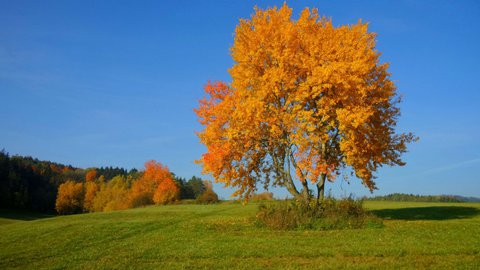 FOTKA - Uijte si podzimn hory zitk s vhodnmi balky na Doln Morav!
