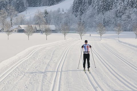 FOTKA - Kam za lyovnm, wellness i skvlm jdlem? Do Velkch Karlovic