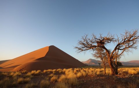 FOTKA - Afrika: jak se na cestu pipravit