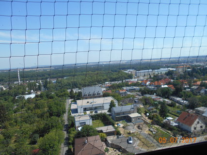 FOTKA - Rozhledna v bval vodrn
