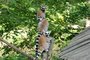 Mláďata lemurů kata baví návštěvníky zlínské zoo