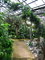 Botanick zahrada Libverda Dn