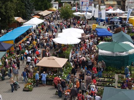 FOTKA - Prodejn vstava Kvty na vstaviti v Lys nad Labem