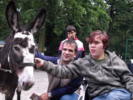 FOTKA - Dnsk zoo oije u tento ptek charitativn akc