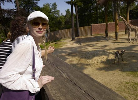 FOTKA - Kadenice z Ulice ktily zebry v libereck ZOO