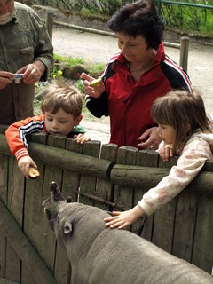 FOTKA - Przdniny zanaj v zoo!