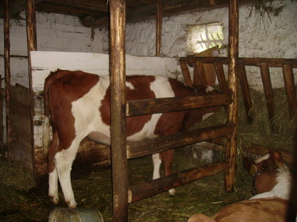 FOTKA - Skanzen Vesel kopec