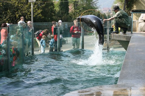 FOTKA - Spolen lto v zoo a na koupalitch