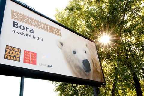 FOTKA - Seznamte se! - Druh etapa reklamn kampan Zoo Praha prv startuje