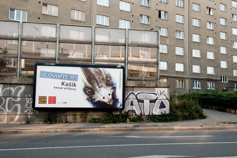 FOTKA - Seznamte se! - Druh etapa reklamn kampan Zoo Praha prv startuje