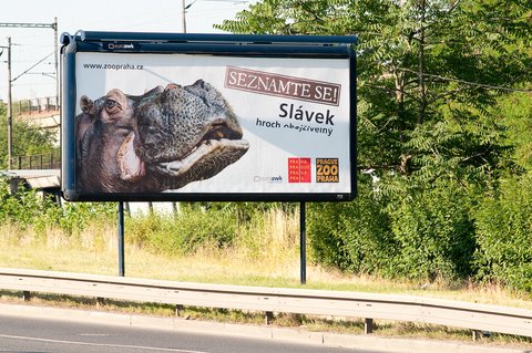 FOTKA - Seznamte se! - Druh etapa reklamn kampan Zoo Praha prv startuje