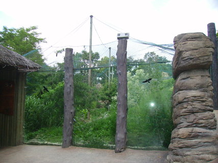 FOTKA - Zoo Brno