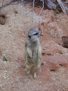 FOTKA - Zoo Brno